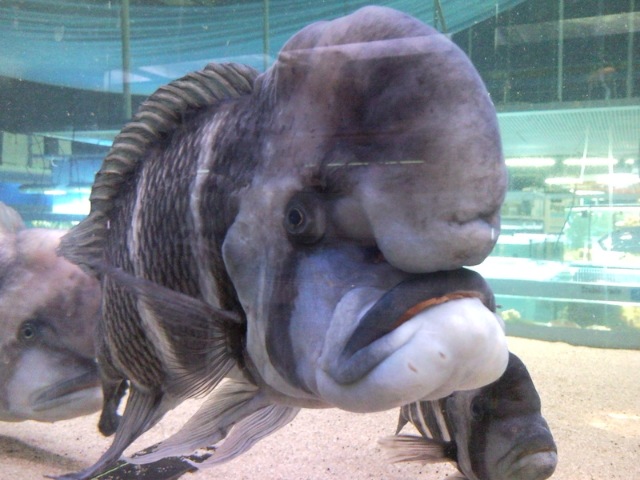 Bildschirmarbeiter - Picdump 18.02.2011