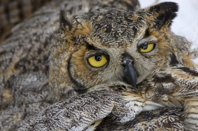 Bildschirmarbeiter - Picdump 25.02.2010