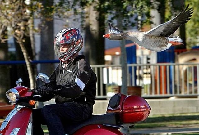 Bildschirmarbeiter - Picdump 25.02.2010