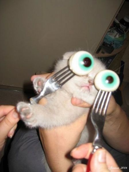 Bildschirmarbeiter - Picdump 25.02.2010