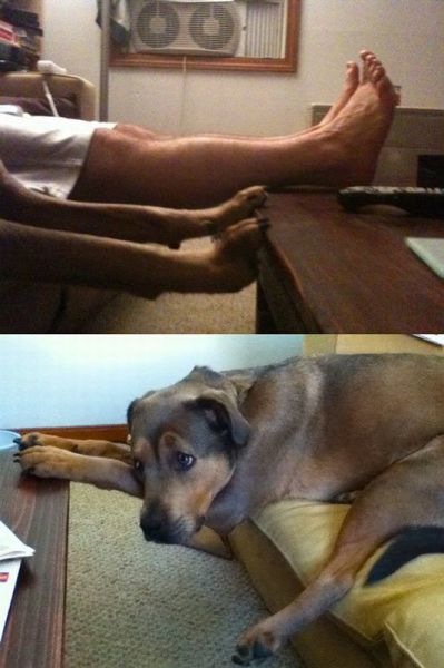 Bildschirmarbeiter - Picdump 25.02.2010