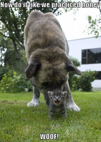 Bildschirmarbeiter - Picdump 25.02.2010