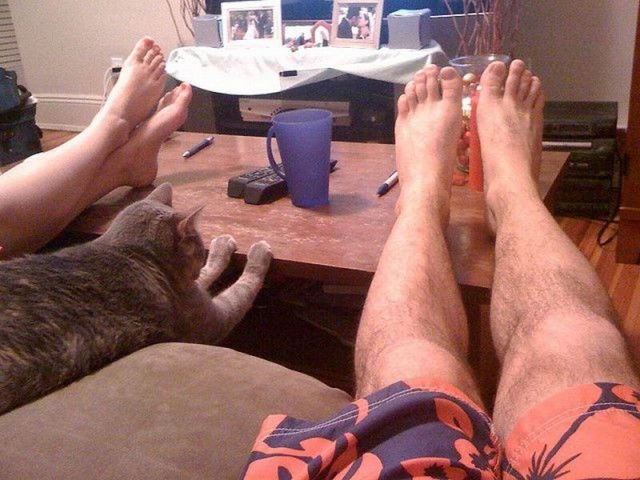 Bildschirmarbeiter - Picdump 25.02.2010