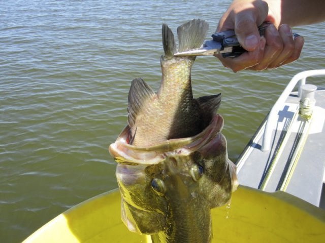 Bildschirmarbeiter - Picdump 25.02.2010