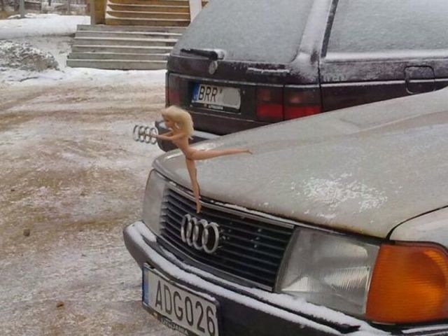 Bildschirmarbeiter - Picdump 25.02.2010