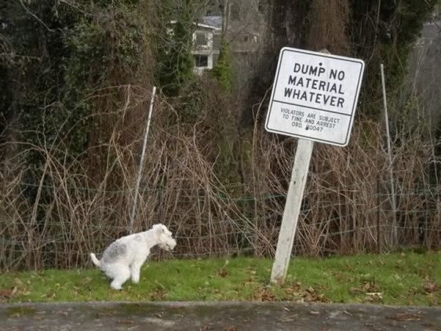 Bildschirmarbeiter - Picdump 25.02.2010