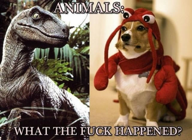 Bildschirmarbeiter - Picdump 25.02.2010