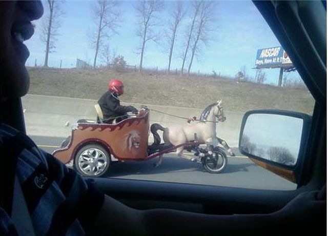 Bildschirmarbeiter - Picdump 25.02.2010