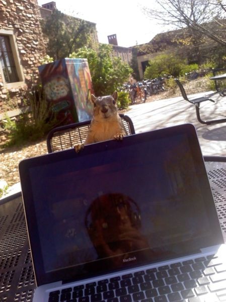 Bildschirmarbeiter - Picdump 04.03.2011