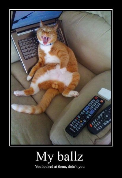 Bildschirmarbeiter - Picdump 04.03.2011