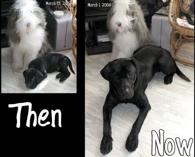 Bildschirmarbeiter - Picdump 04.03.2011