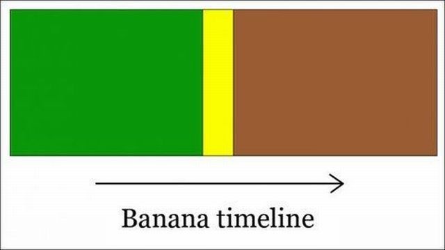 Bildschirmarbeiter - Picdump 04.03.2011