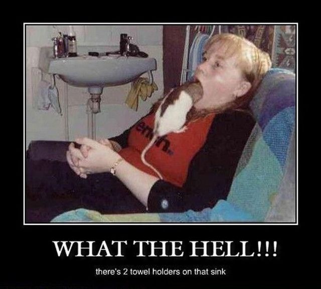 Bildschirmarbeiter - Picdump 04.03.2011