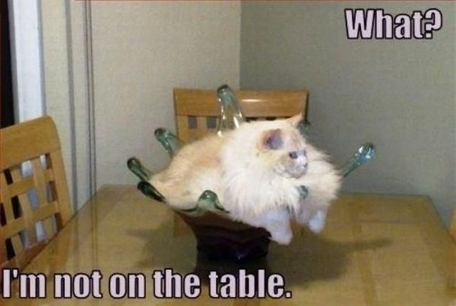 Bildschirmarbeiter - Picdump 04.03.2011