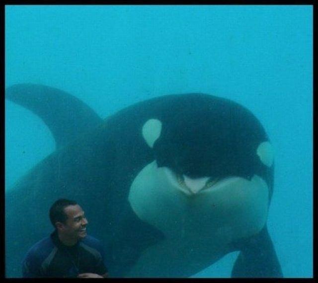 Bildschirmarbeiter - Picdump 11.03.2011