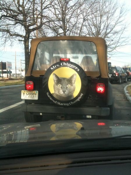 Bildschirmarbeiter - Picdump 18.03.2011