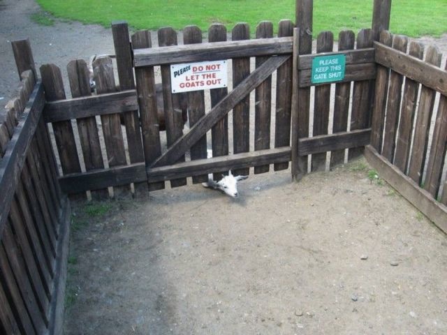 Bildschirmarbeiter - Picdump 18.03.2011