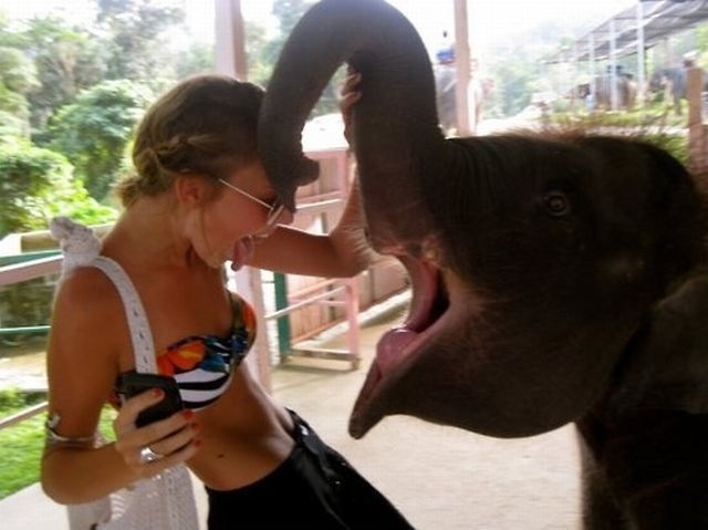 Bildschirmarbeiter - Picdump 18.03.2011