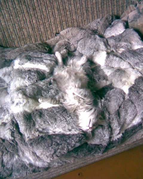 Bildschirmarbeiter - Picdump 18.03.2011