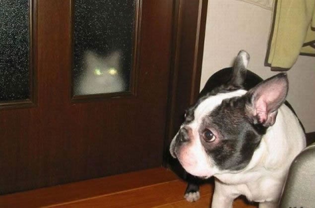 Bildschirmarbeiter - Picdump 18.03.2011