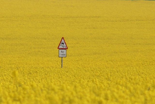 Bildschirmarbeiter - Picdump 18.03.2011