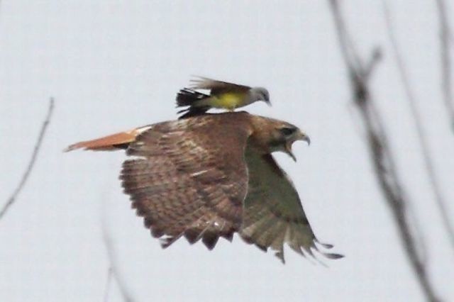 Bildschirmarbeiter - Picdump 25.03.2011