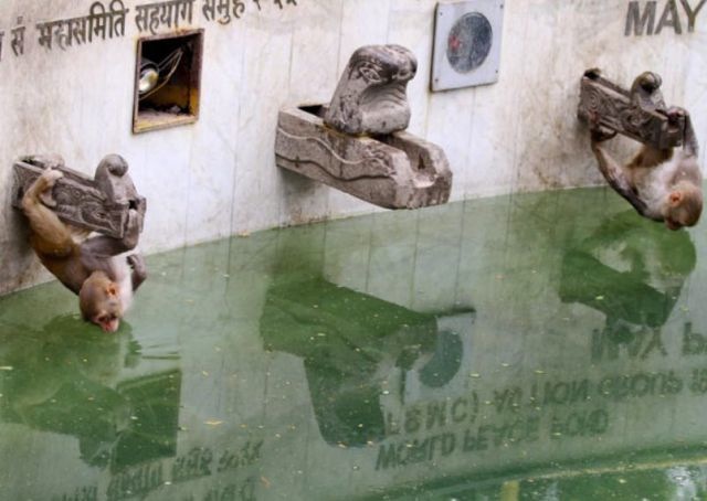 Bildschirmarbeiter - Picdump 25.03.2011