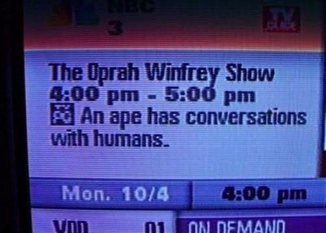 Bildschirmarbeiter - Picdump 25.03.2011