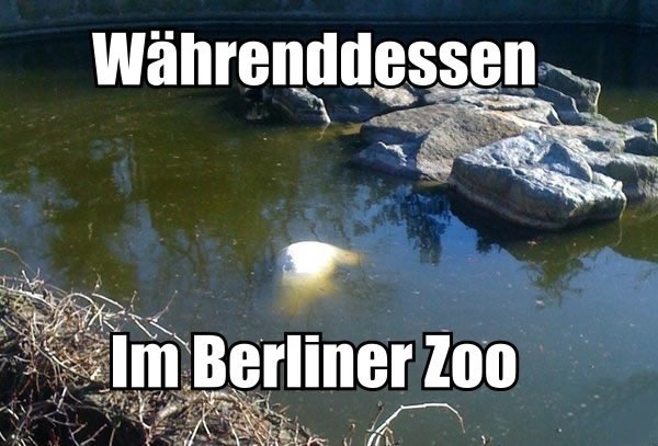 Bildschirmarbeiter - Picdump 25.03.2011