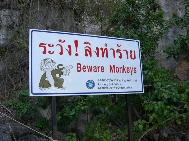 Bildschirmarbeiter - Picdump 25.03.2011