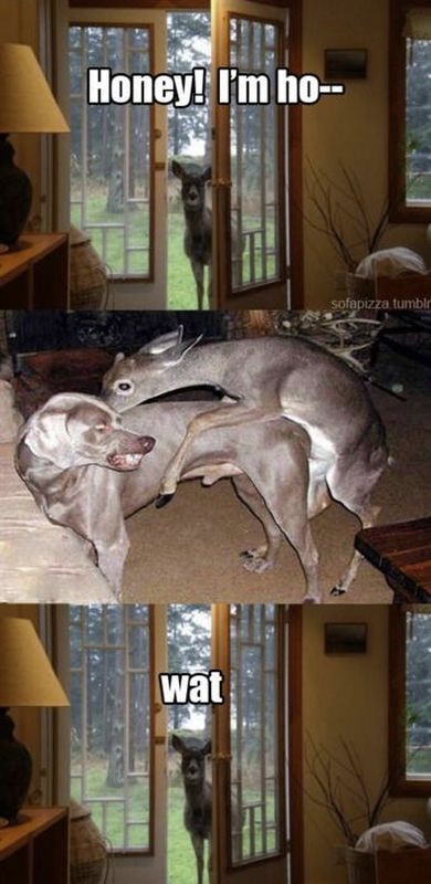 Bildschirmarbeiter - Picdump 01.04.2011