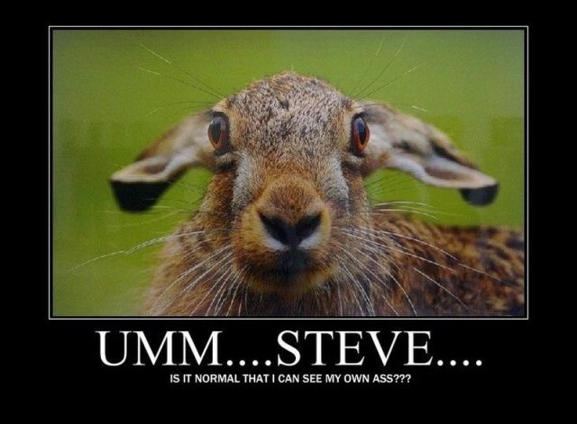 Bildschirmarbeiter - Picdump 01.04.2011