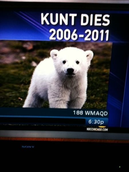 Bildschirmarbeiter - Picdump 01.04.2011