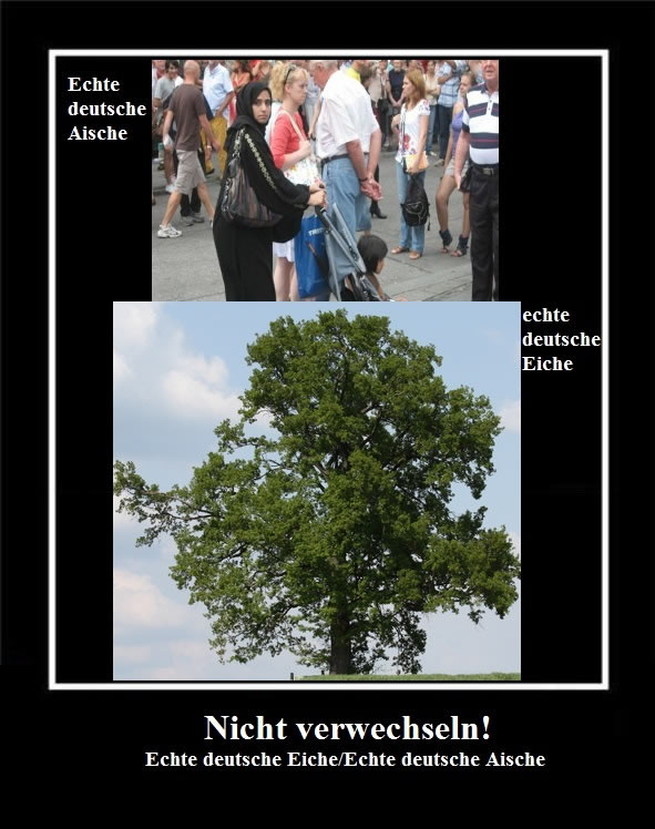 Bildschirmarbeiter - Picdump 01.04.2011
