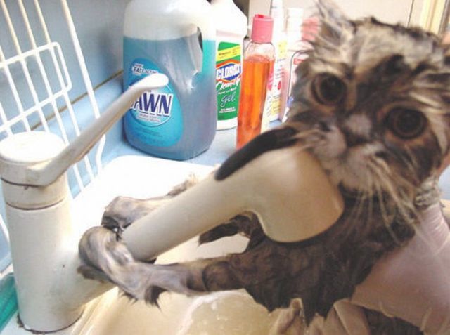 Bildschirmarbeiter - Picdump 08.04.2011