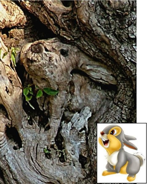 Bildschirmarbeiter - Picdump 08.04.2011