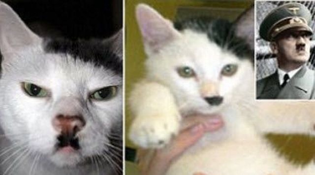 Bildschirmarbeiter - Picdump 08.04.2011