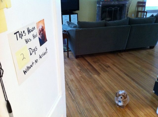 Bildschirmarbeiter - Picdump 08.04.2011