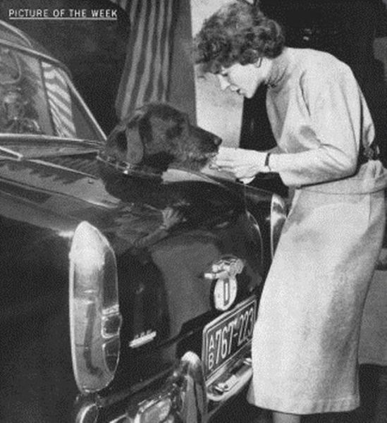 Bildschirmarbeiter - Picdump 08.04.2011