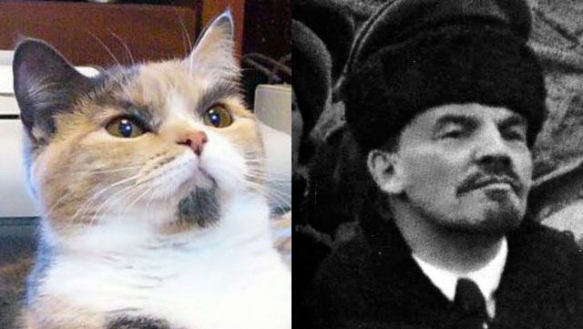 Bildschirmarbeiter - Picdump 08.04.2011