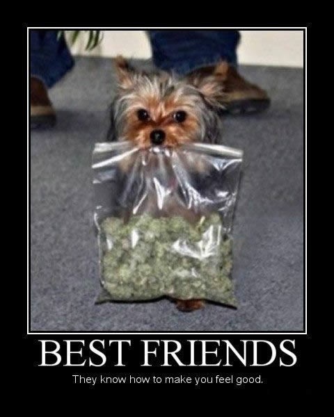 Bildschirmarbeiter - Picdump 08.04.2011