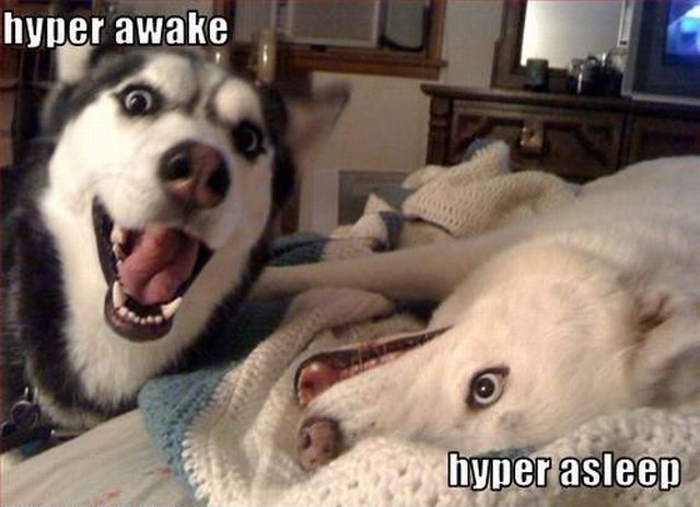 Bildschirmarbeiter - Picdump 08.04.2011