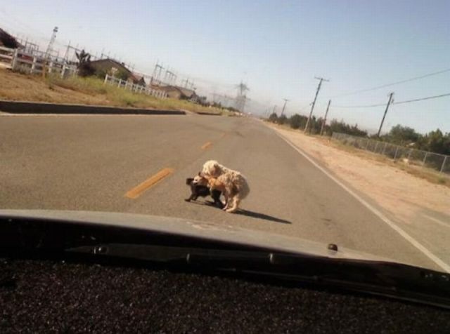 Bildschirmarbeiter - Picdump 15.04.2011