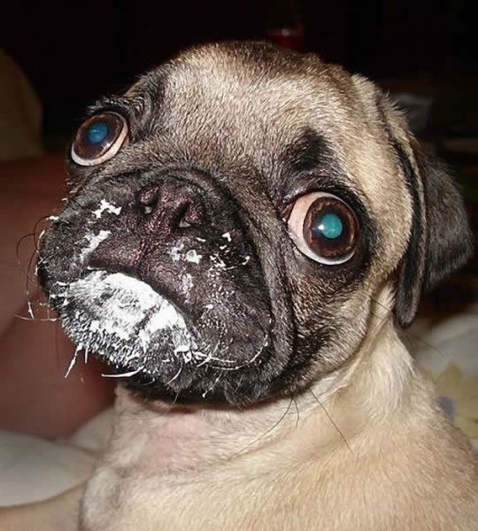 Bildschirmarbeiter - Picdump 15.04.2011