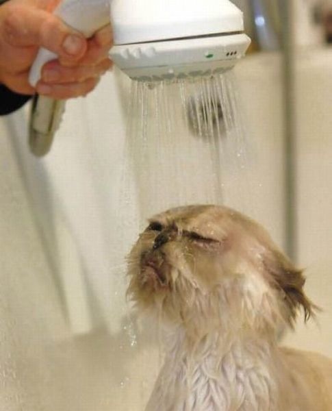 Bildschirmarbeiter - Picdump 15.04.2011