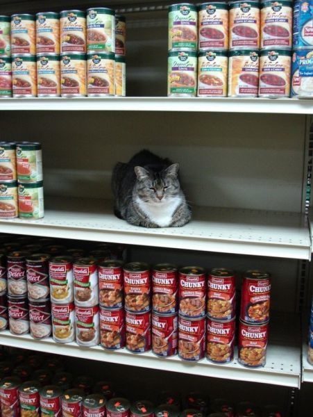 Bildschirmarbeiter - Picdump 15.04.2011