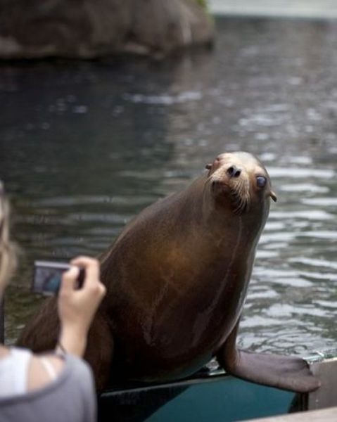 Bildschirmarbeiter - Picdump 22.04.2011