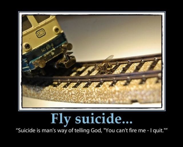 Bildschirmarbeiter - Picdump 22.04.2011