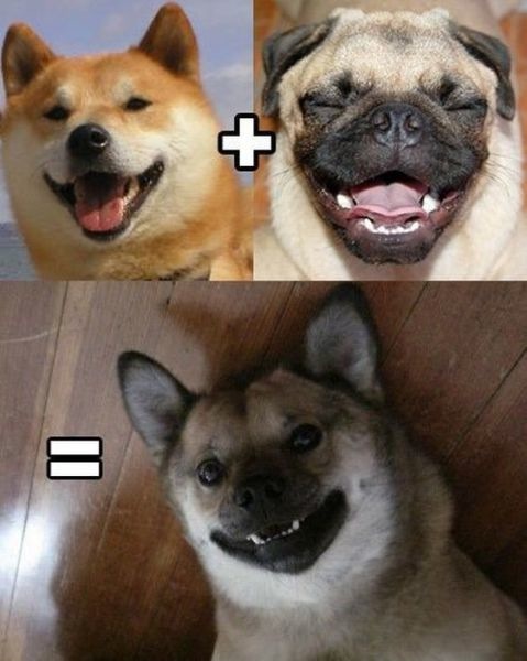 Bildschirmarbeiter - Picdump 22.04.2011