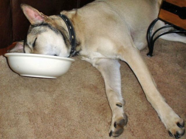 Bildschirmarbeiter - Picdump 22.04.2011